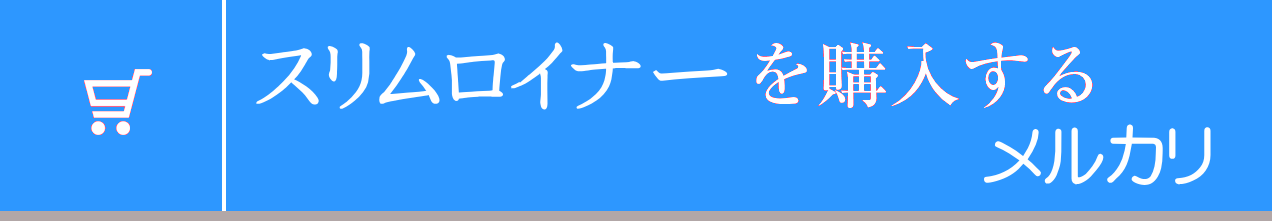 �X�������C�i�[���w������