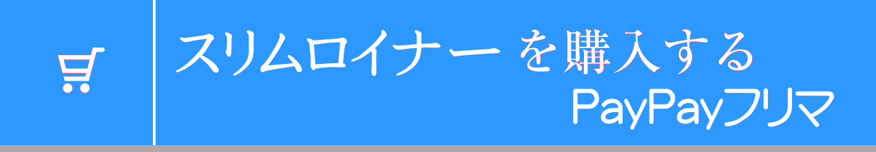 �X�������C�i�[���w������