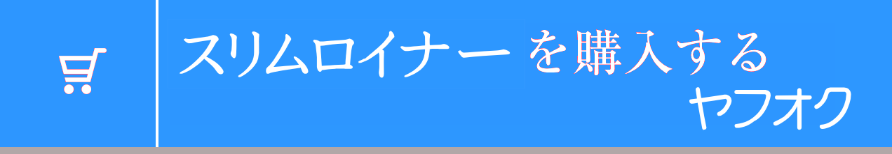 �X�������C�i�[���w������